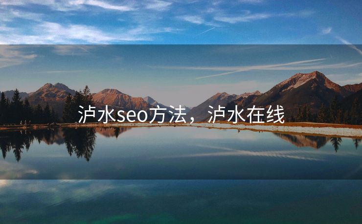泸水seo方法，泸水在线