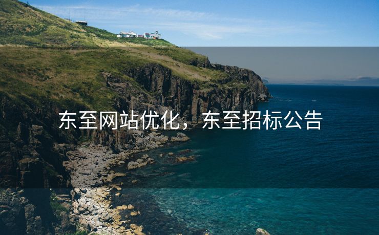 东至网站优化，东至招标公告