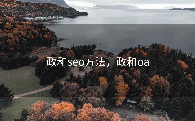 政和seo方法，政和oa