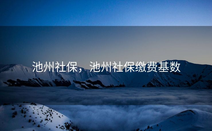 池州社保，池州社保缴费基数