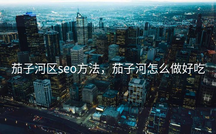 茄子河区seo方法，茄子河怎么做好吃