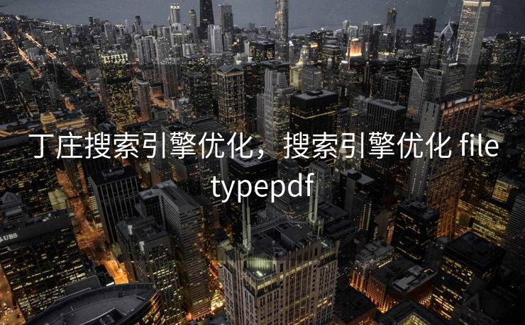 丁庄搜索引擎优化，搜索引擎优化 filetypepdf