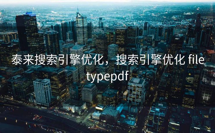 泰来搜索引擎优化，搜索引擎优化 filetypepdf