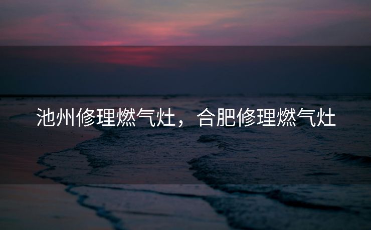 池州修理燃气灶，合肥修理燃气灶