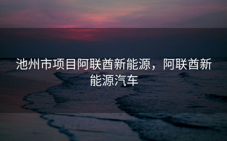 池州市项目阿联酋新能源，阿联酋新能源汽车