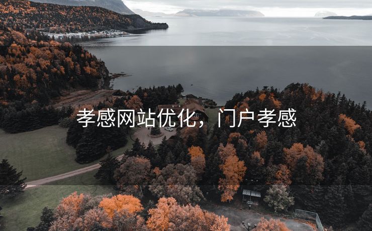 孝感网站优化，门户孝感