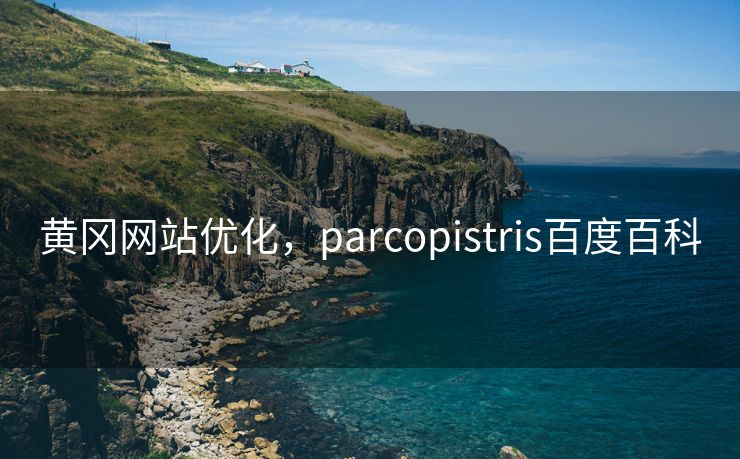 黄冈网站优化，parcopistris百度百科