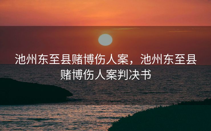 池州东至县赌博伤人案，池州东至县赌博伤人案判决书