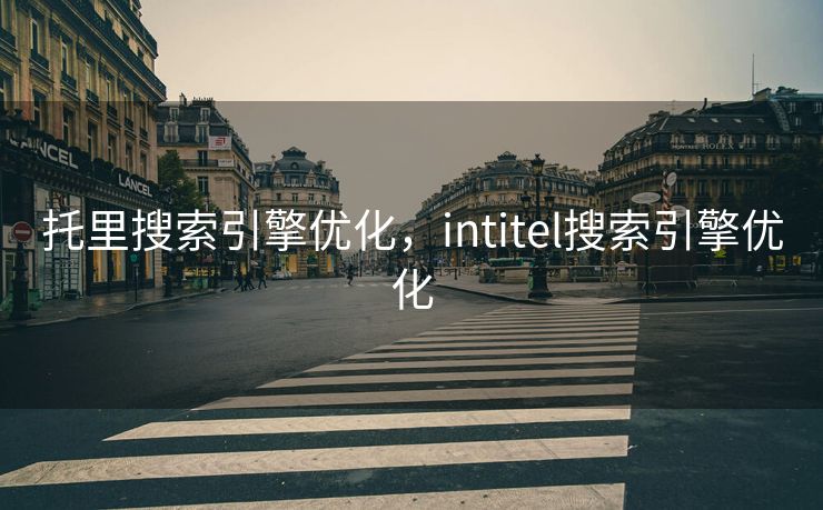 托里搜索引擎优化，intitel搜索引擎优化