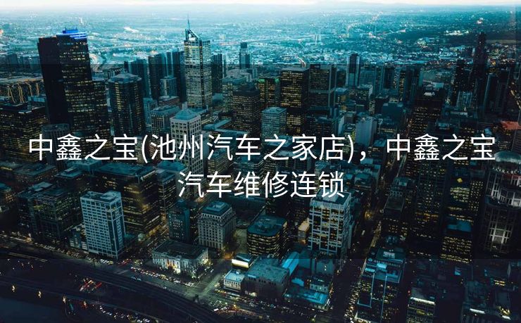 中鑫之宝(池州汽车之家店)，中鑫之宝汽车维修连锁