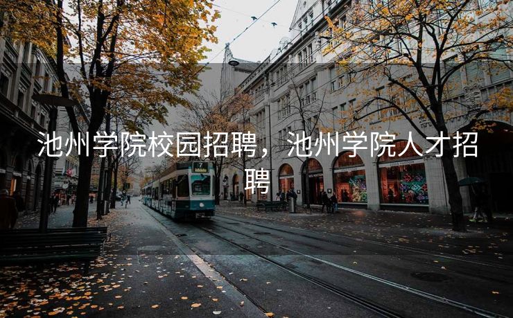 池州学院校园招聘,池州学院人才招聘 池州学院校园招聘,池州学院人才招聘