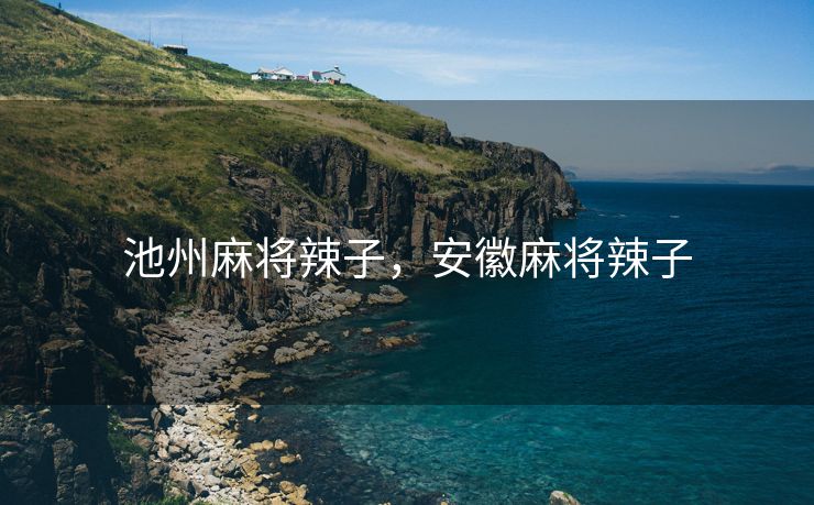 池州麻将辣子，安徽麻将辣子