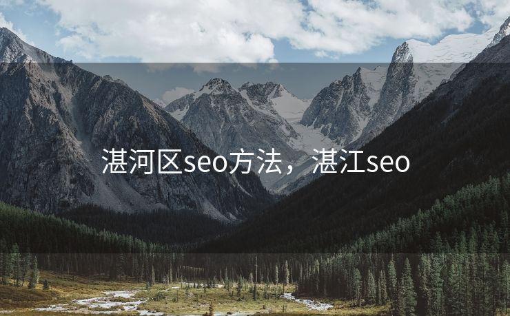 湛河区seo方法，湛江seo