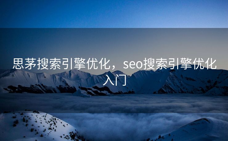 思茅搜索引擎优化，seo搜索引擎优化入门