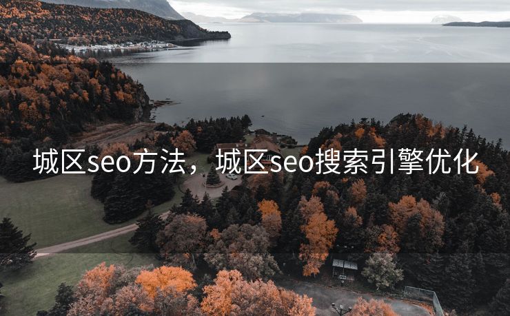 城区seo方法，城区seo搜索引擎优化