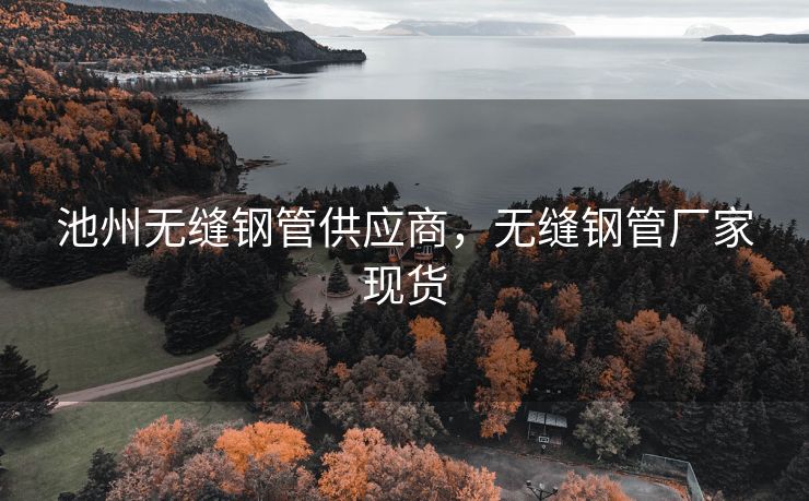 池州无缝钢管供应商，无缝钢管厂家现货