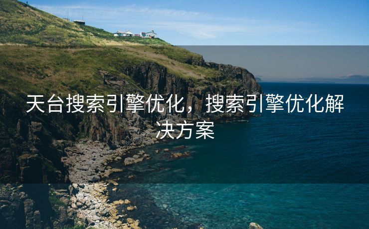 天台搜索引擎优化，搜索引擎优化解决方案