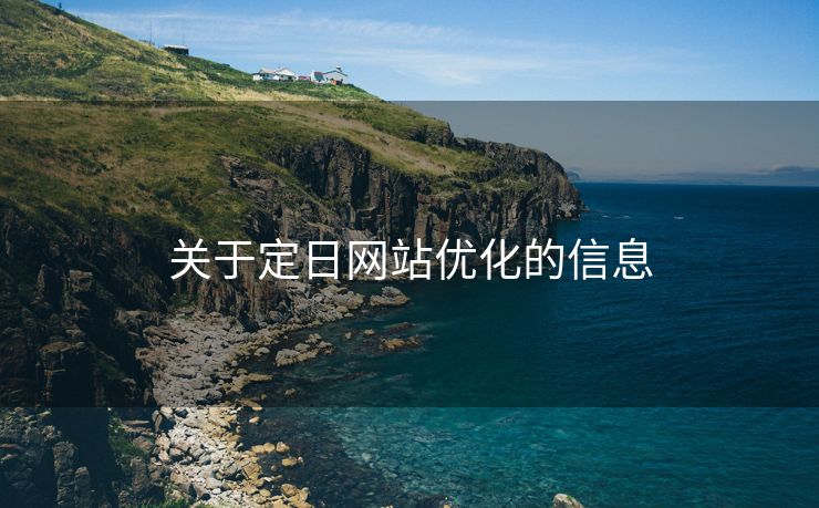关于定日网站优化的信息