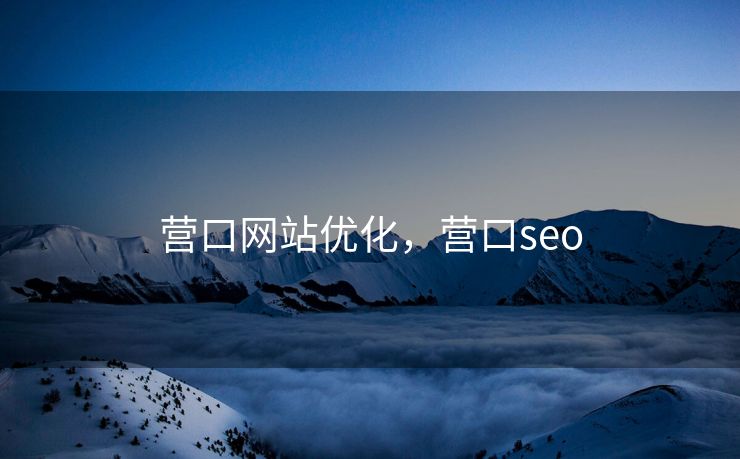 营口网站优化，营口seo