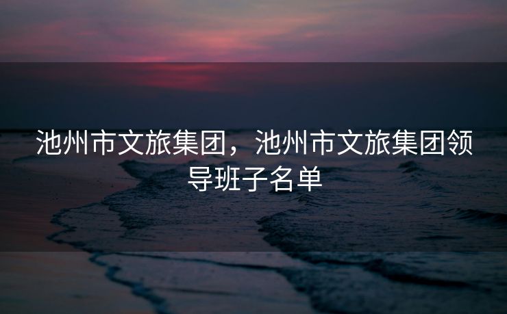 池州市文旅集团，池州市文旅集团领导班子名单